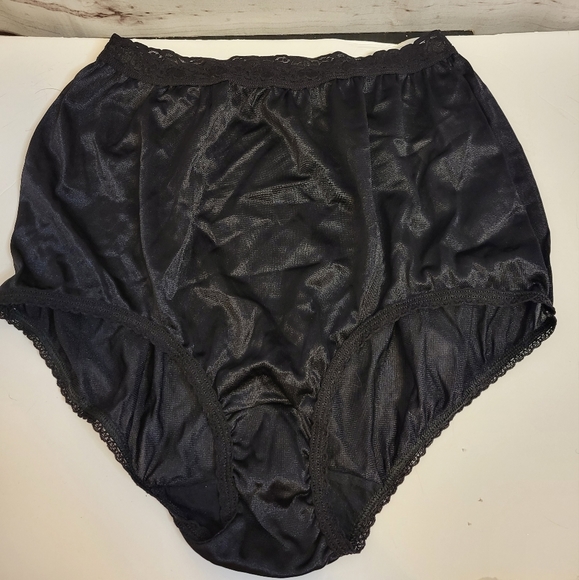 underscore Intimates & Sleepwear Vintage Nylon Sheer Lace Panties